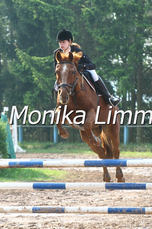 103M2989_Leantos_Spring A.JPG